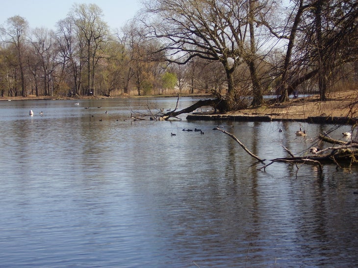 Lake None