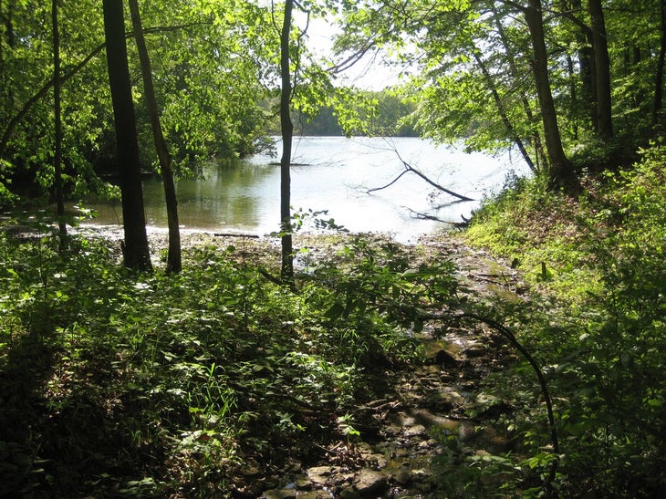 Lake None