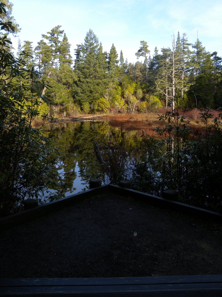 Lake None
