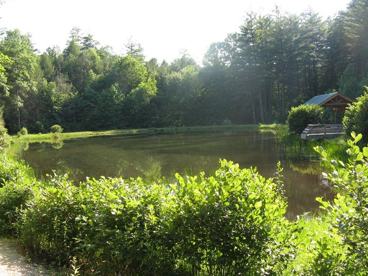 Lake Imaging None