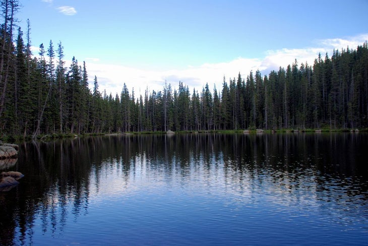 Lake Johnson None