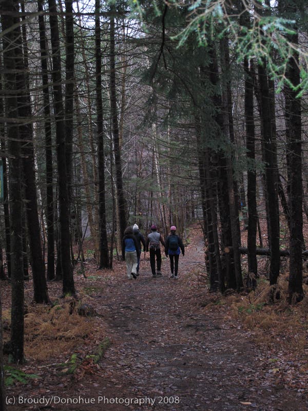 Lake Mansfield Trail None