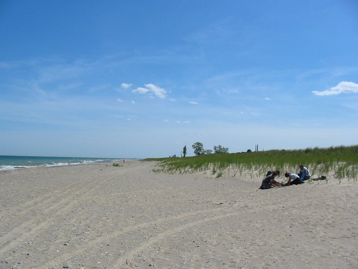 Lake Michigan None