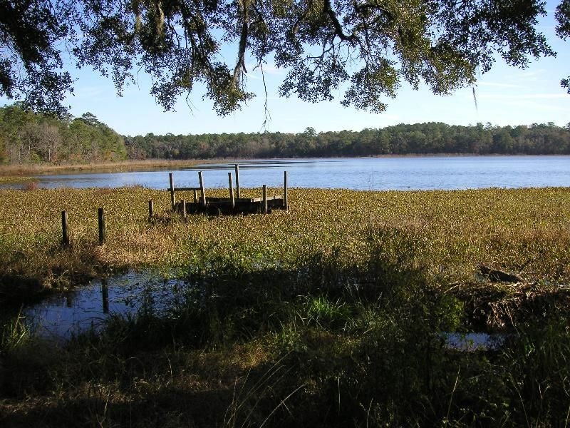 Tallahassee: Lake Overstreet Loop