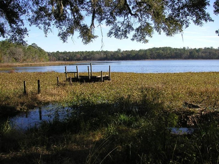 Lake Overstreet None