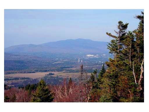 Lake Placid None