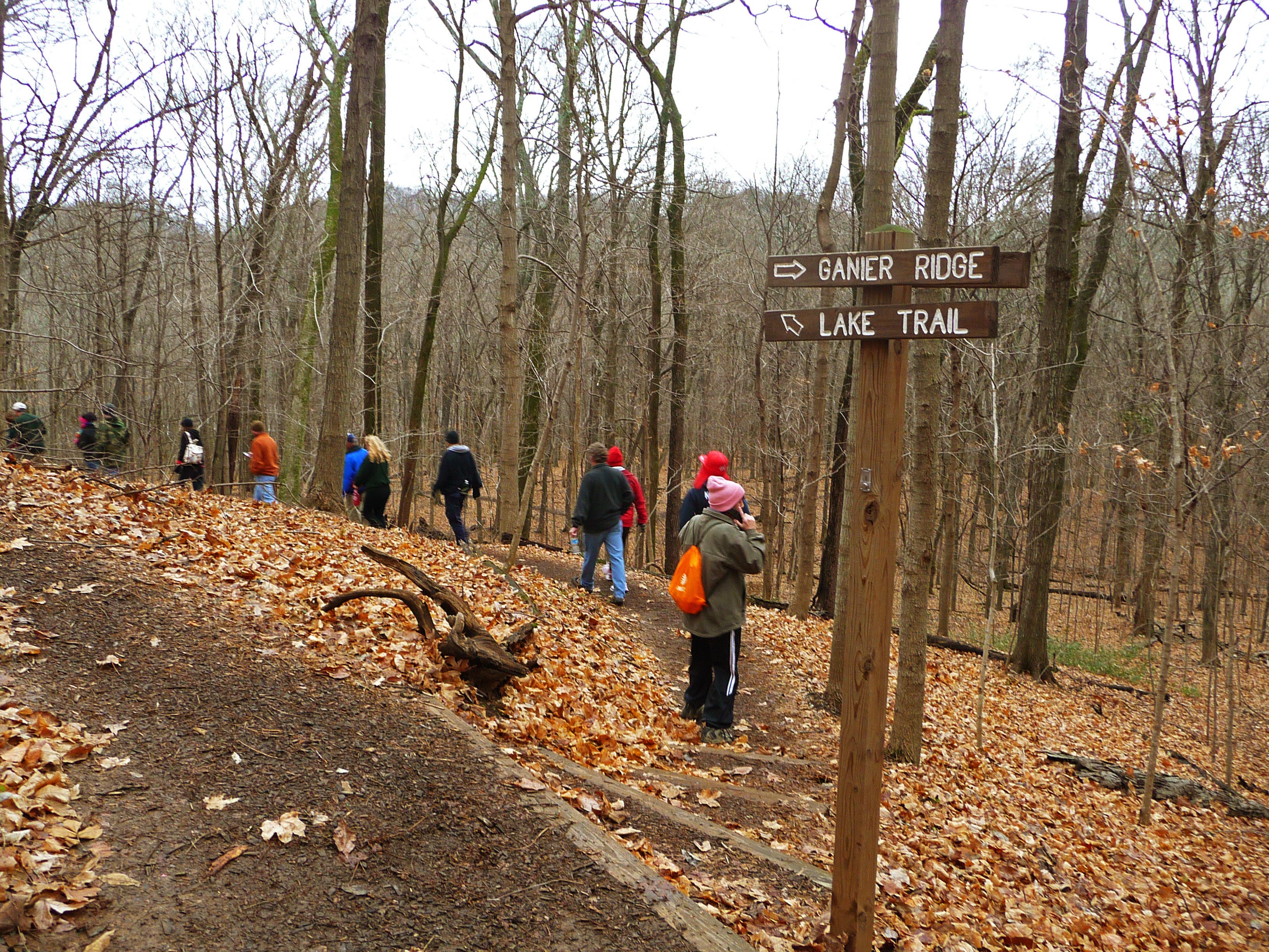 Lake Trail - Ganier Trail Junction None