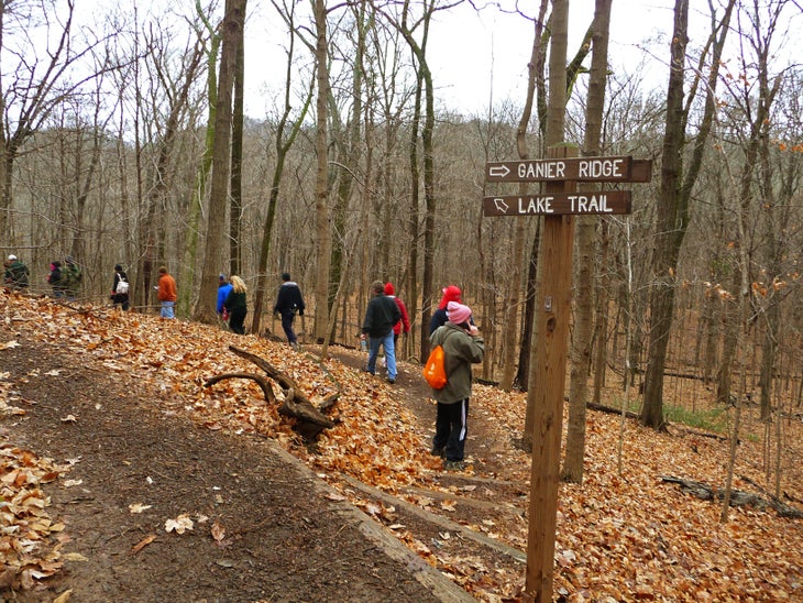 Lake Trail - Ganier Trail Junction None