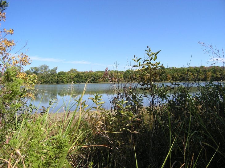 Lake View None