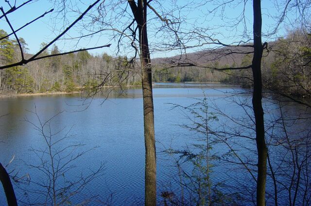 Lake View None