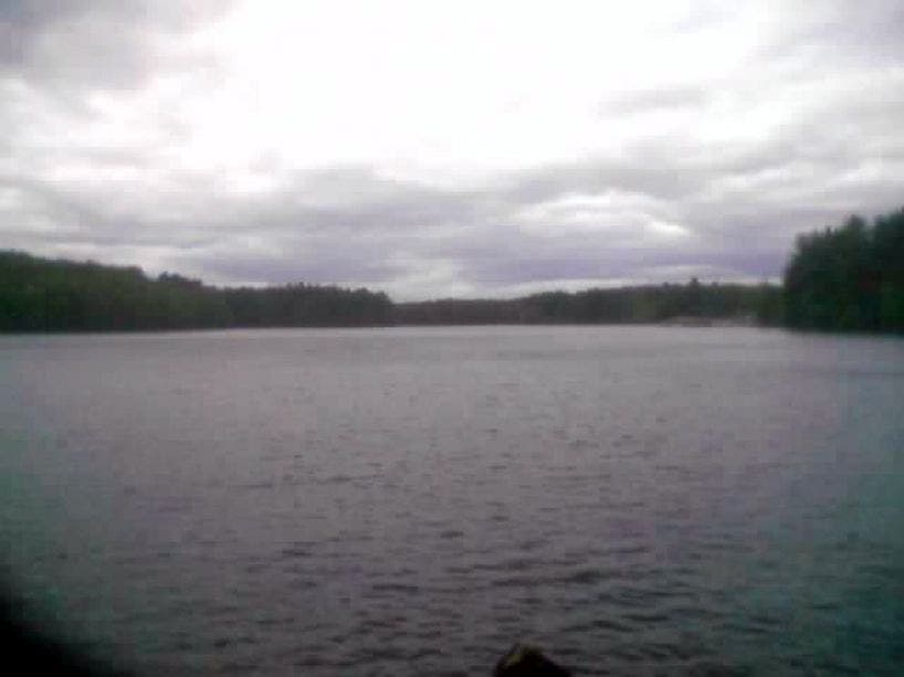 Lake Wintergreen None