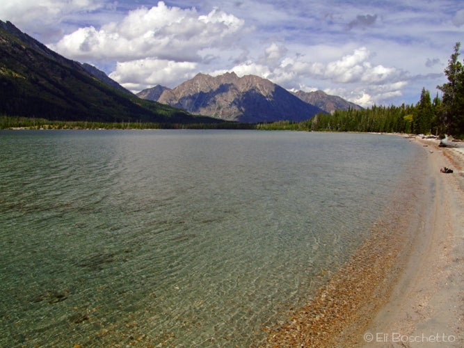 Lakeshore None