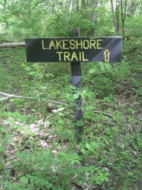 Lakeshore Trail None
