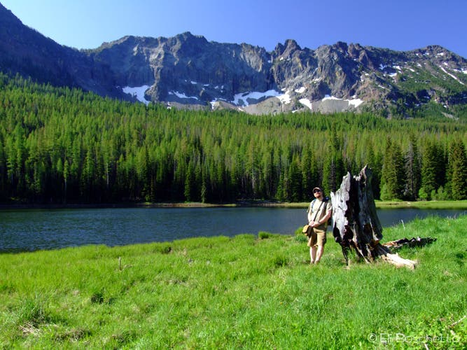 Lakeside Meadow None