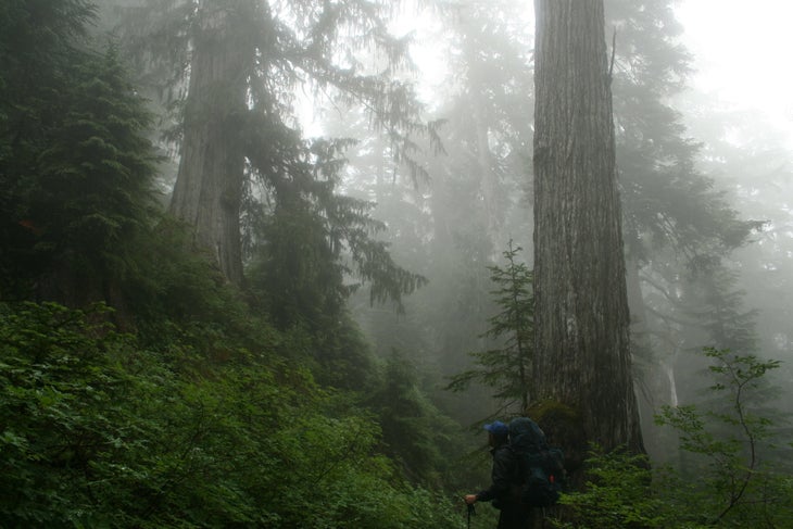 Land of Giants None