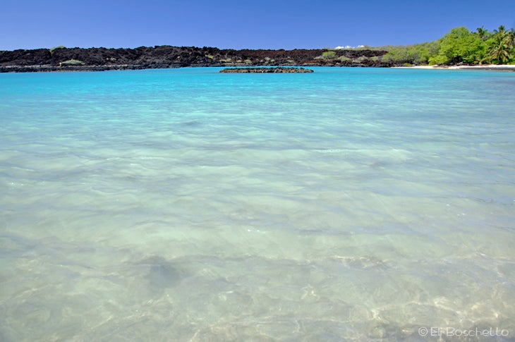 LaPerouse Bay None