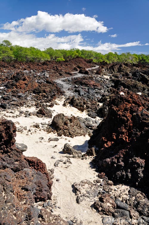 LaPerouse Trail None