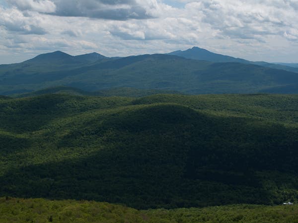Laraway Lookout View None
