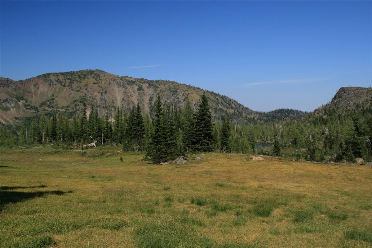 Larch Lake Basin None