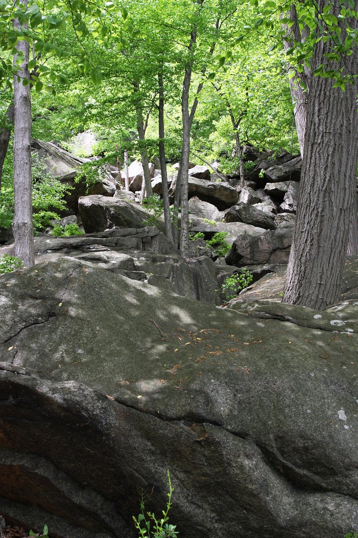 Large rock outcroppings None