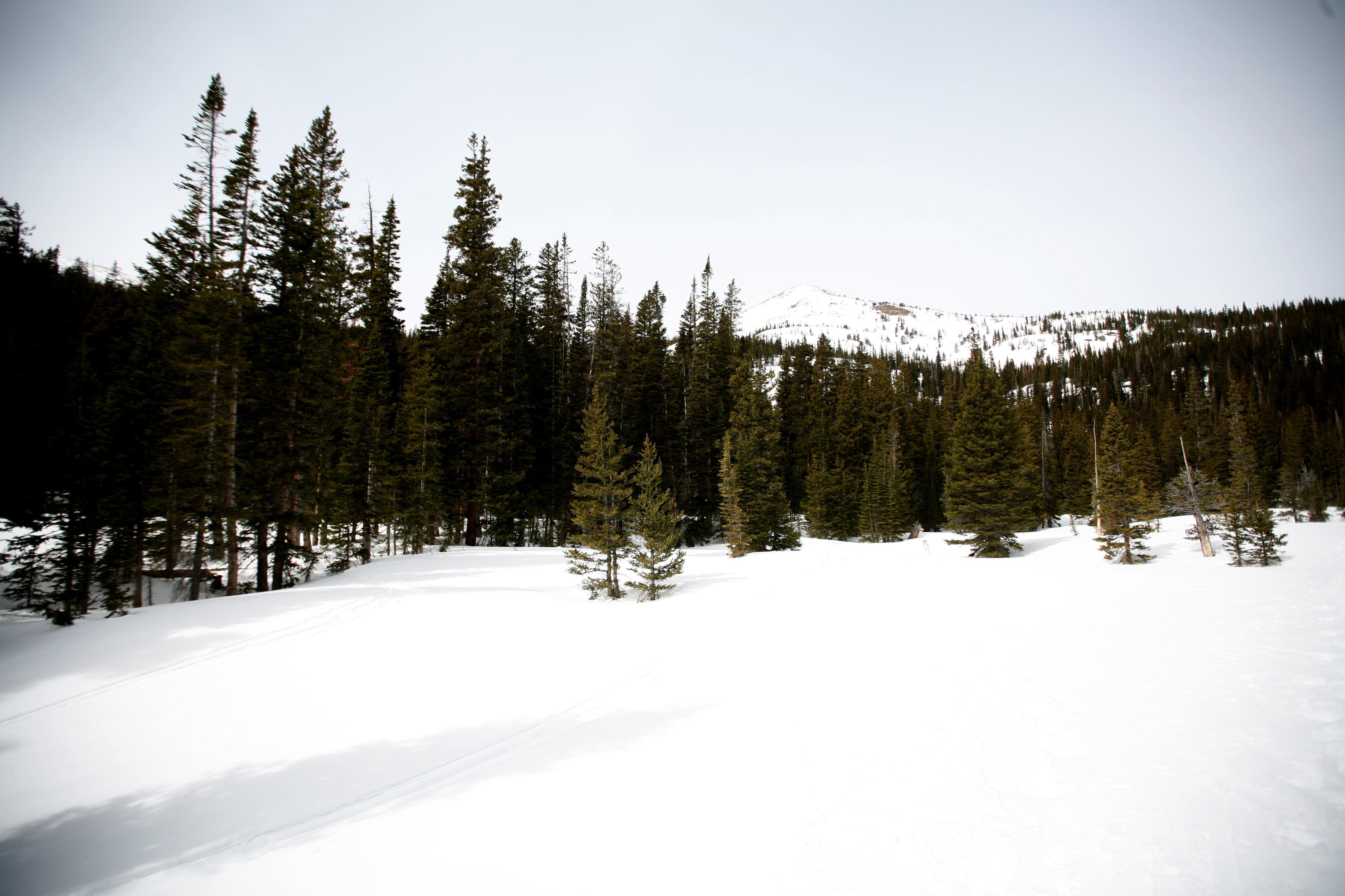 Last of the Gentle Slope None