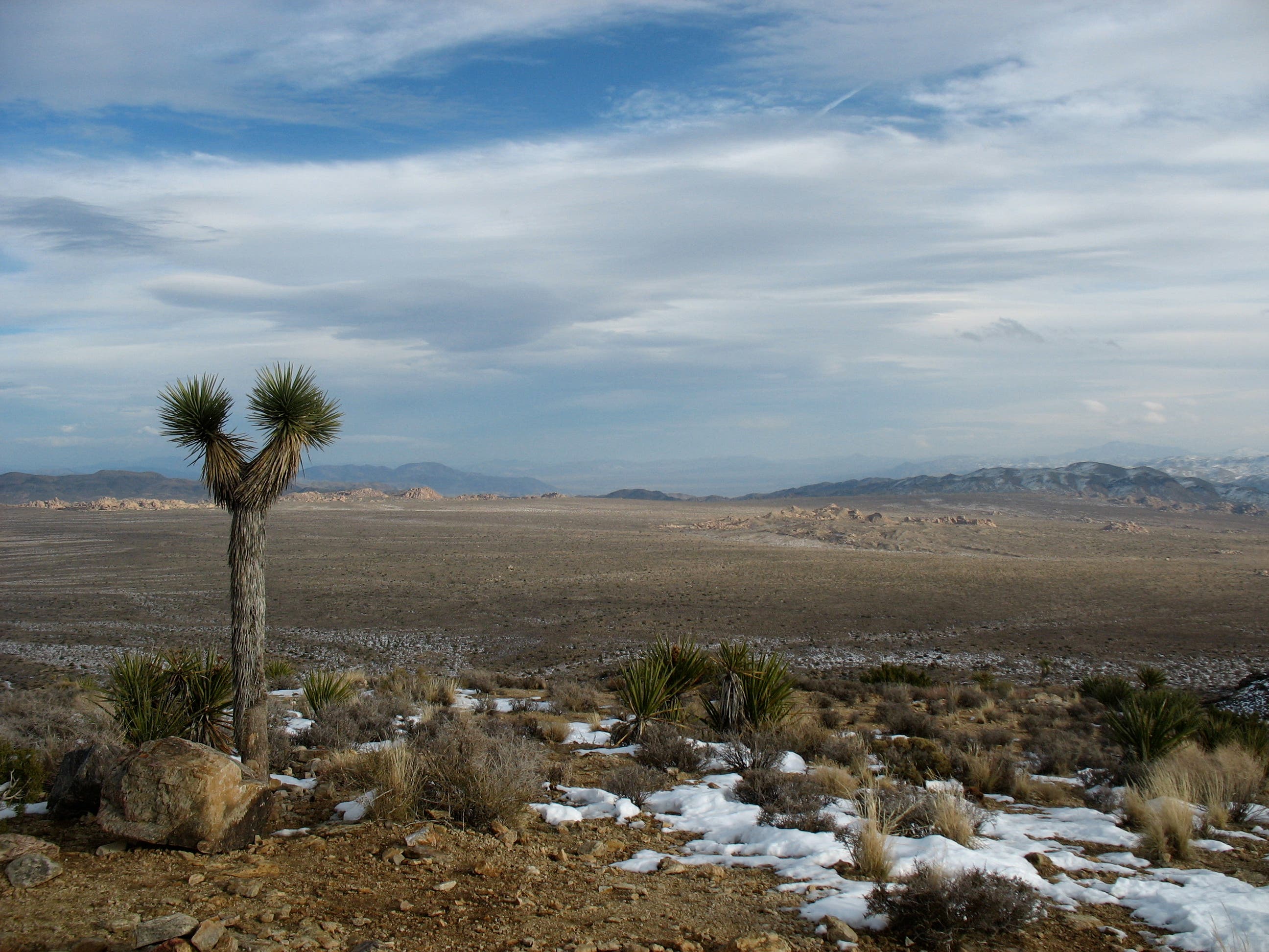 Last Stop Before the Summit None