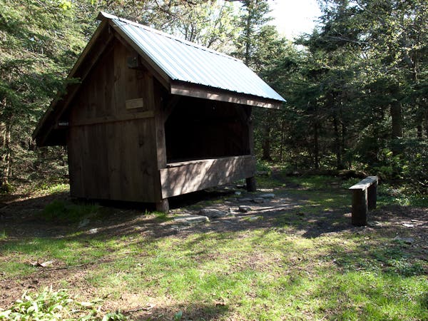 Laura Woodward Shelter None