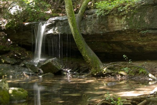 Laurel Falls None