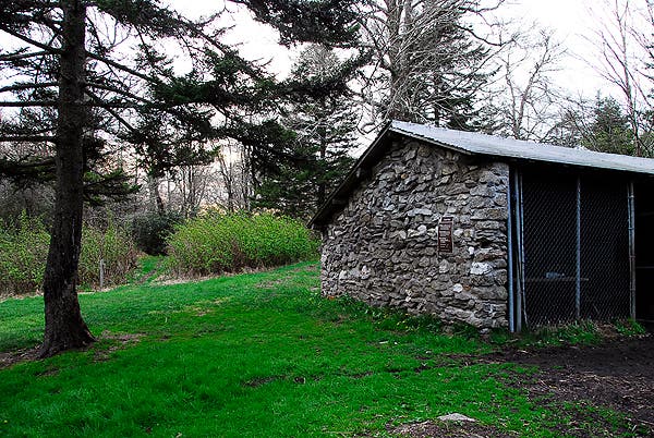 Laurel Gap Shelter None