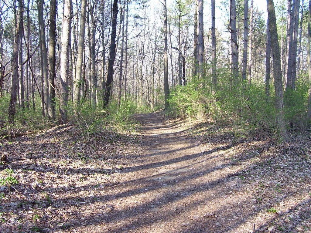 Lawrence Creek Trail None