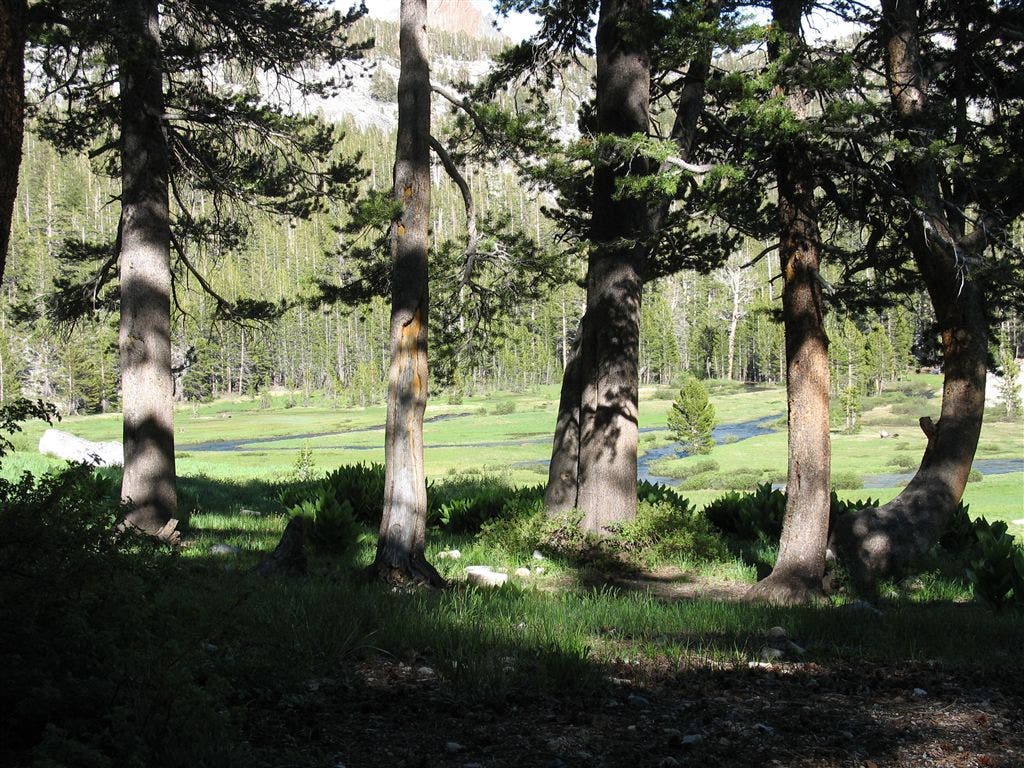 Lazy bends of Tully Hole None