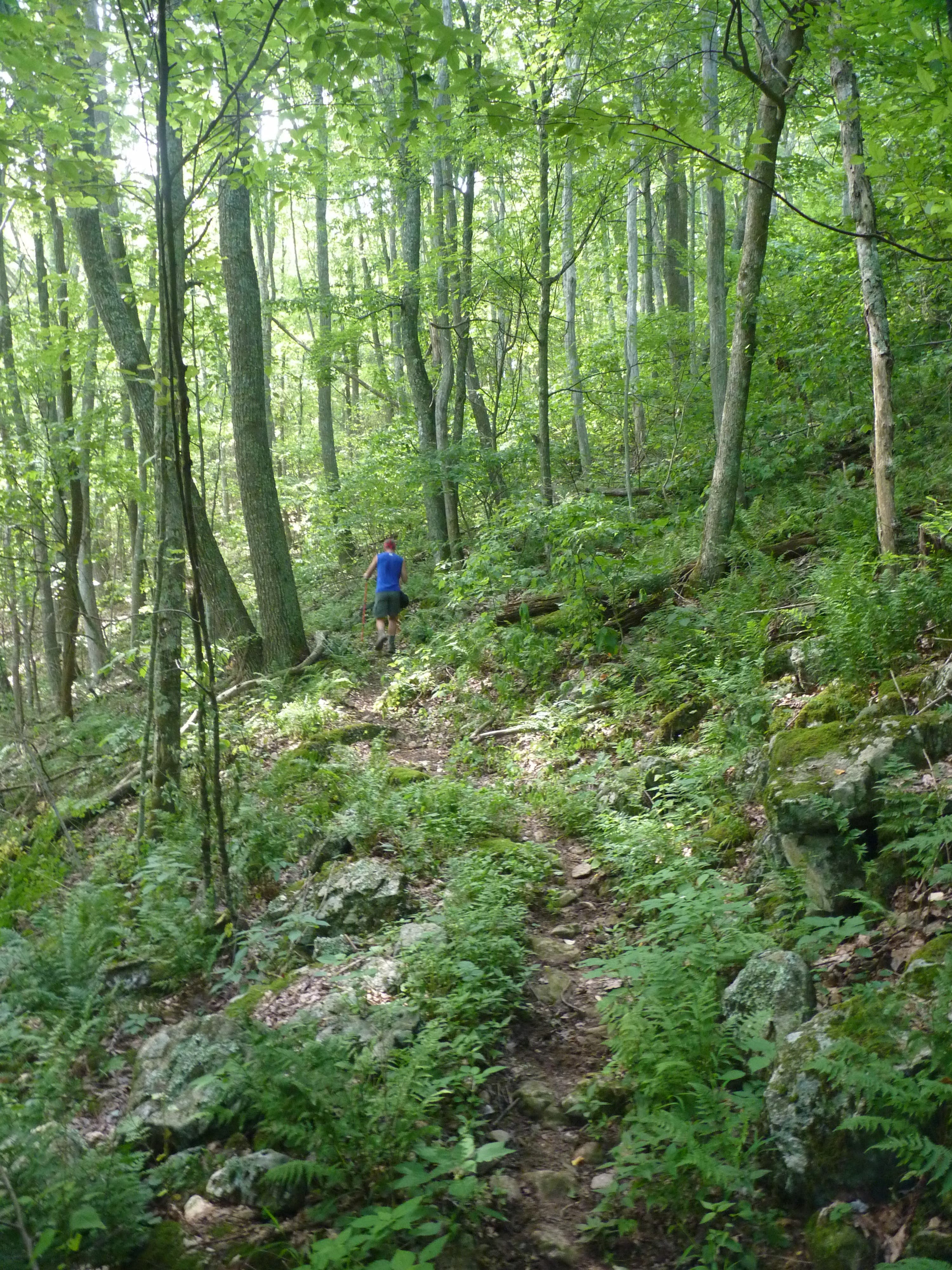 LDR Trail to Comers Rock None