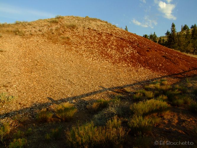 Leaf Hill None