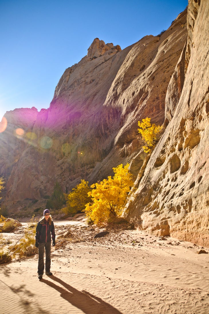 Leaving Spring Canyon None