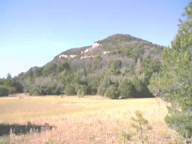 Legunita Seca None