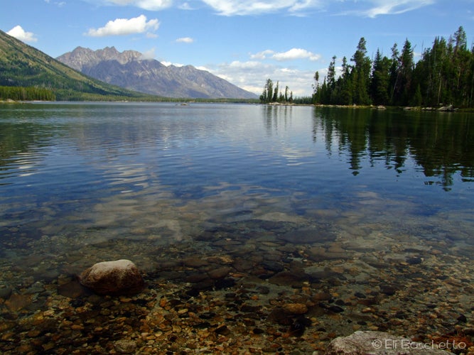 Leigh Lake None