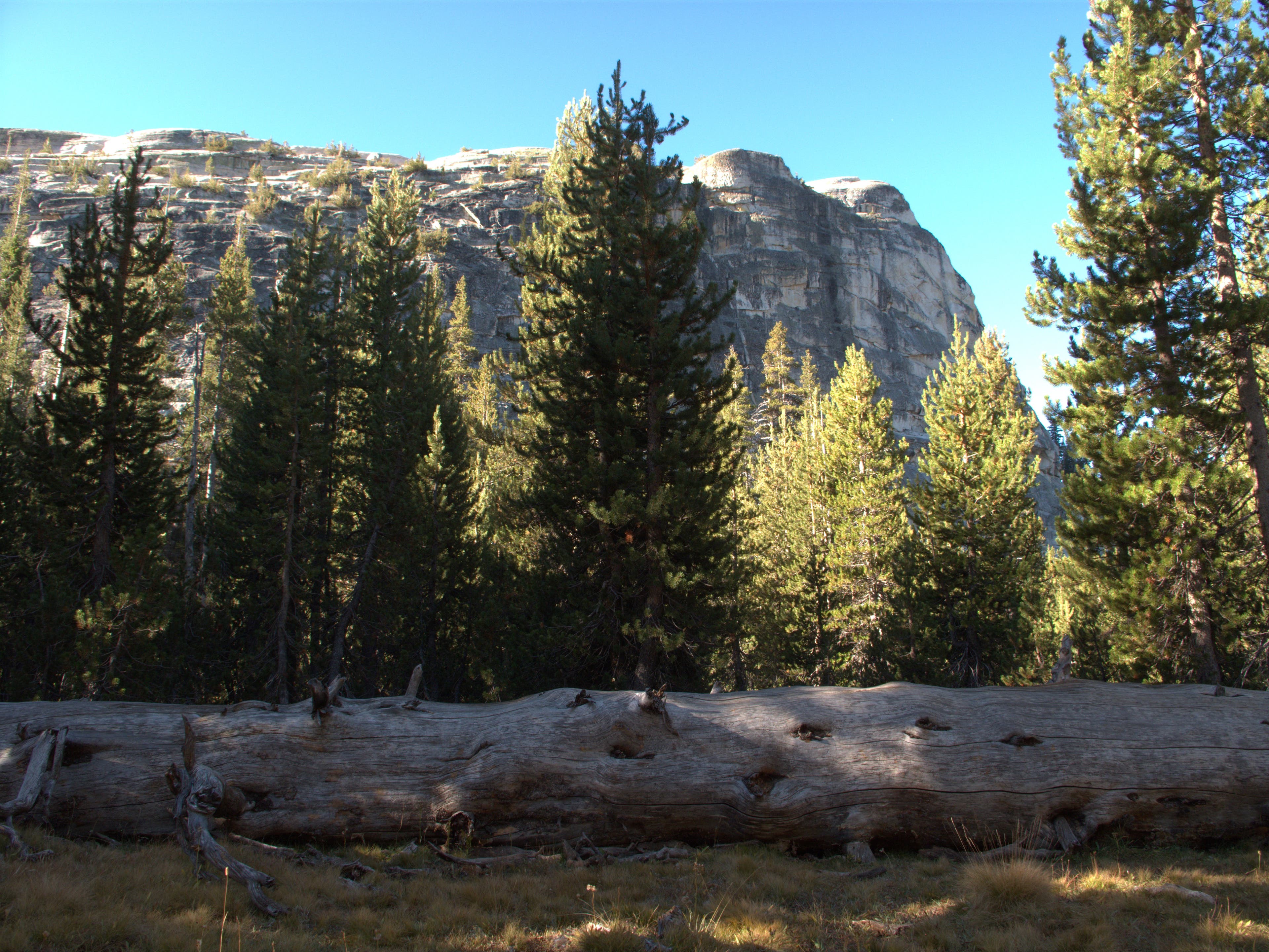 Lembert Dome: Southward View None