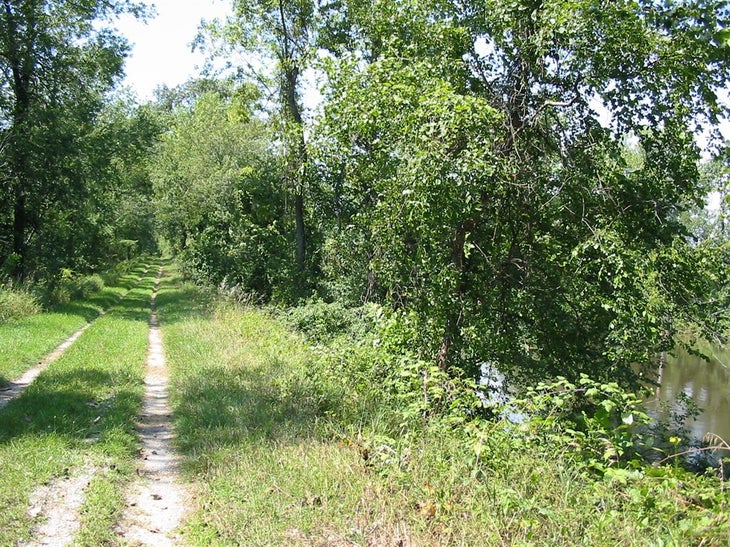 Levee None