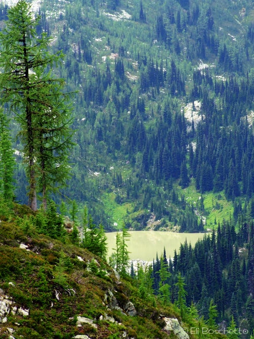 Lewis Lake None