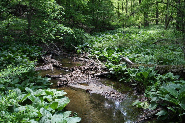 Lewis Morris County Park None