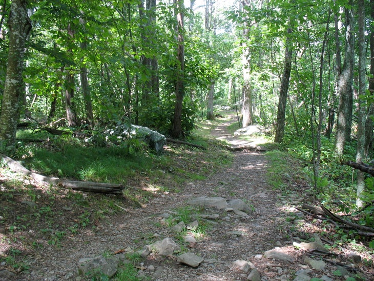 Lewis Spring Falls Trail None