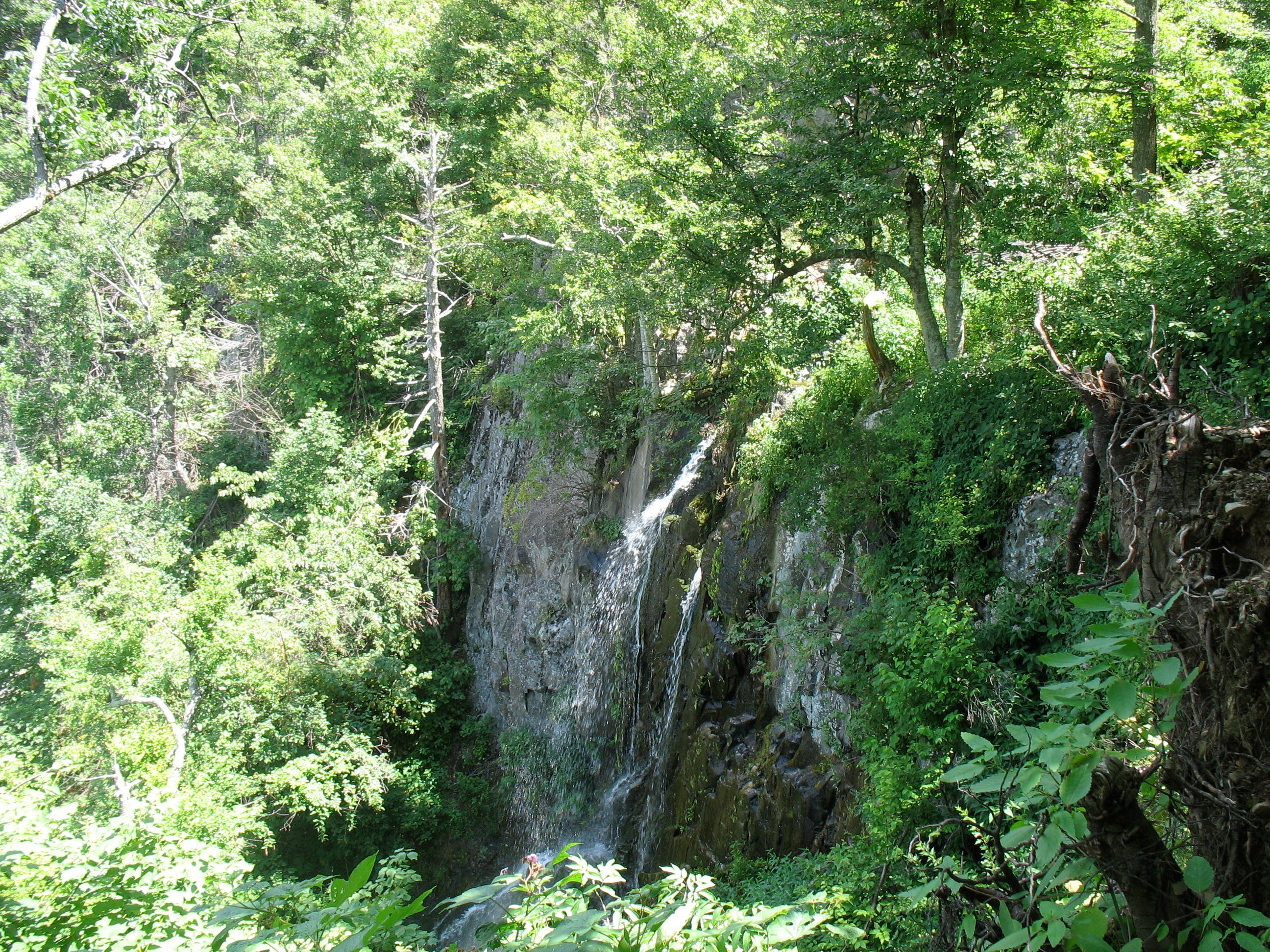 Lewis Spring Falls None