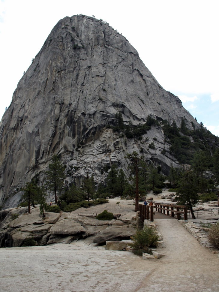 Liberty Cap None