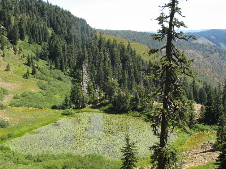 Lily Pad Lake None