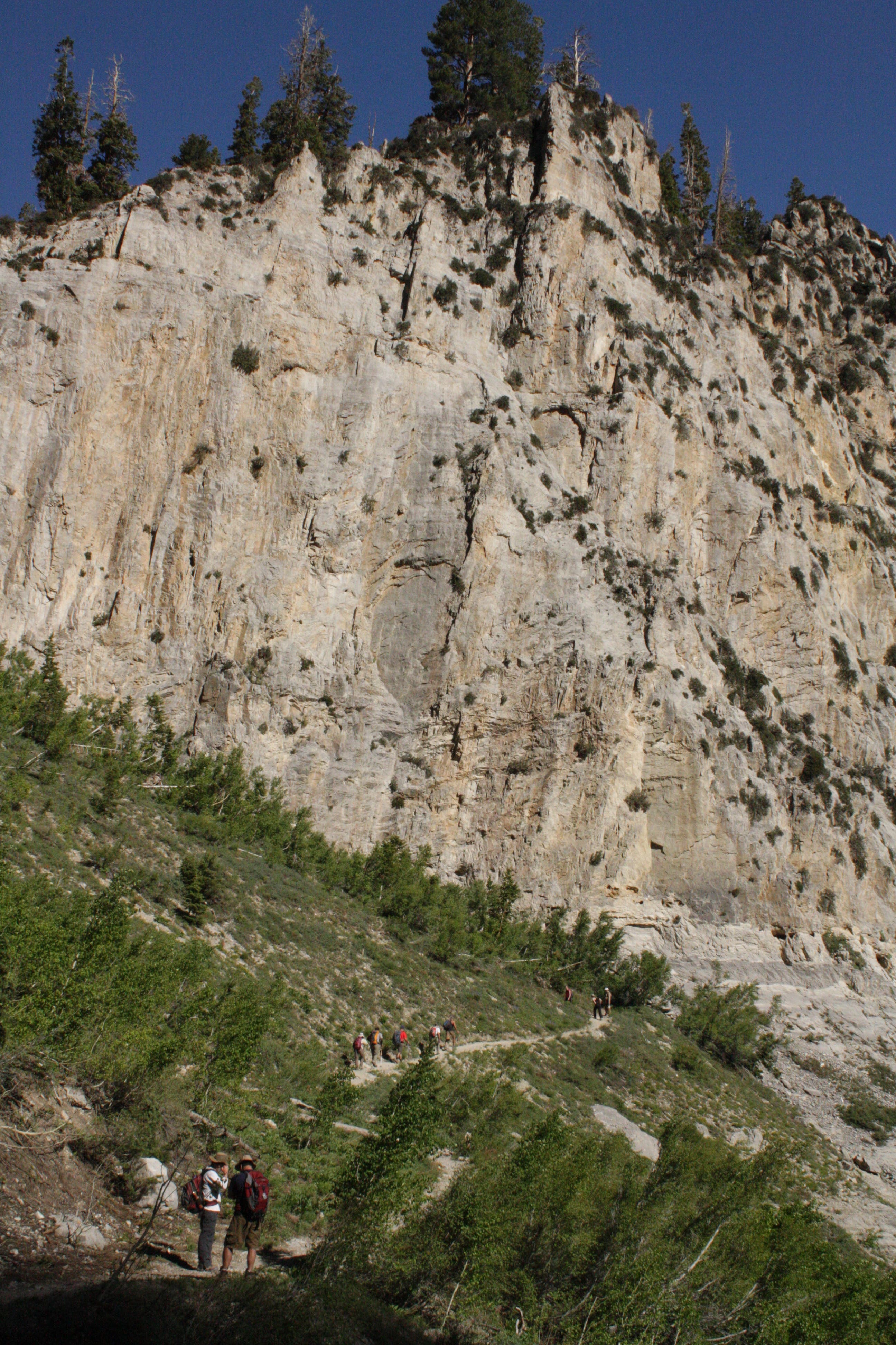 Limestone Cliffs None