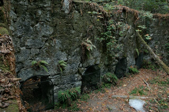 Limestone Kilns None