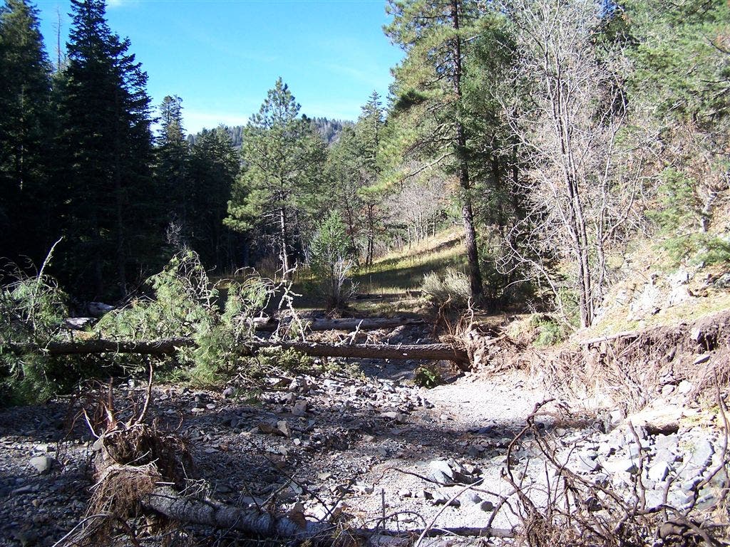 Little Bonito Creek None