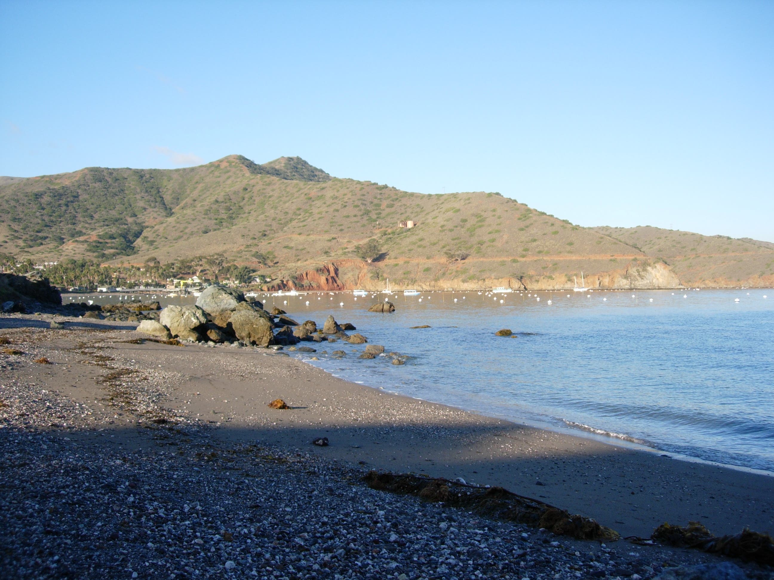 Little Fisherman's Cove None