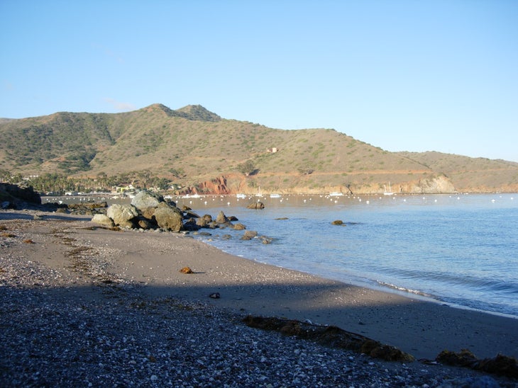 Little Fisherman's Cove None