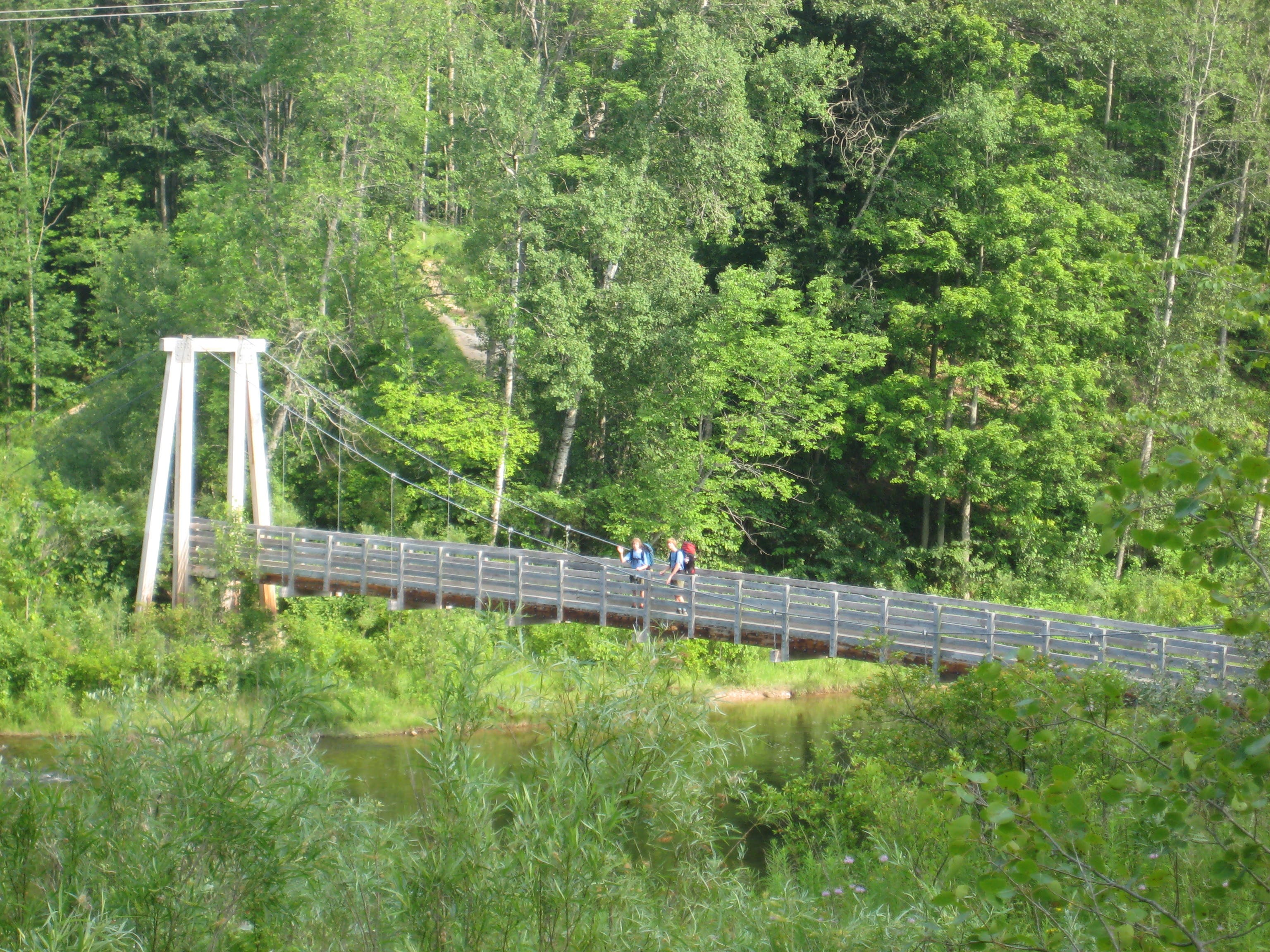 Little Mack Suspension Bridge None